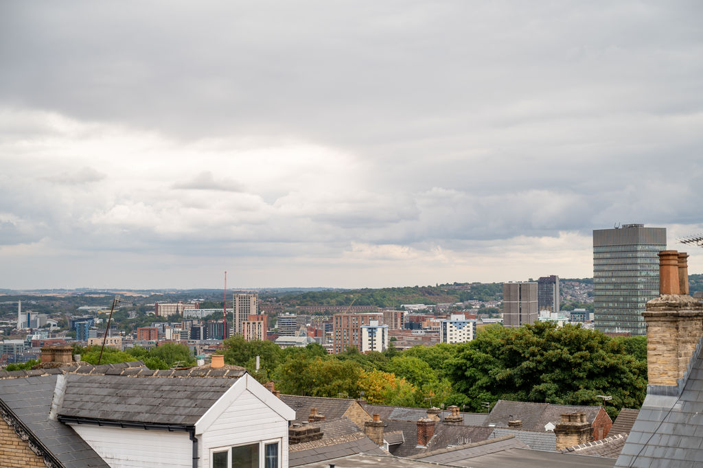 Beehive Road Crookesmoor